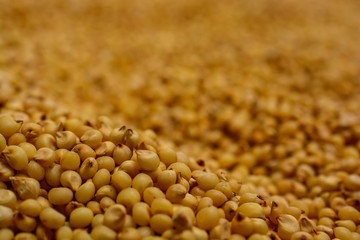 cereal and grains in close up macro