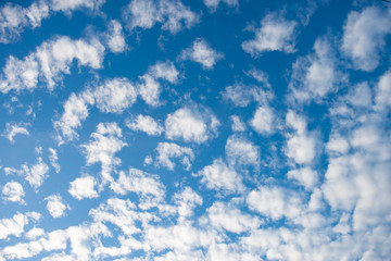 Beautiful tiny clouds on the blue sky