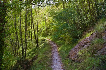 Vista dal sentiero 208 dal villaggio di Baciardi all'eremo di Morimondo