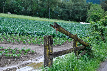 wooden fence and a field