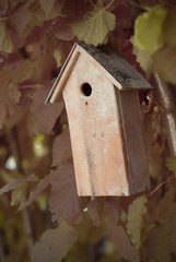 wooden birdhouse on tree