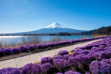 Papier Peint photo autocollant Mont Fuji Fuji de montagne avec de belles fleurs de cerisier à kawaguchiko, Japon..saison d& 39 hiver