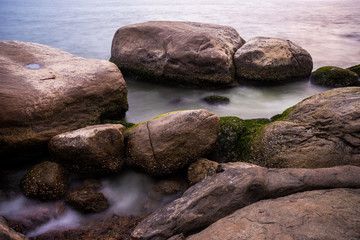 Coral and shells, rocky sea shore wallpaper