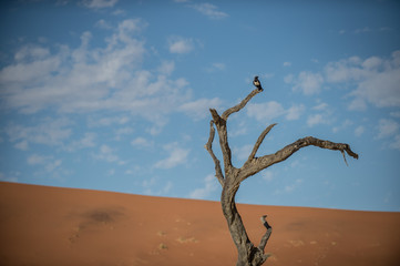 Namibia