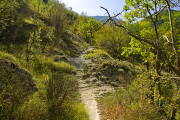 Vista dal sentiero 208 dal villaggio di Baciardi all'eremo di Morimondo