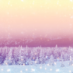 Fototapeta na wymiar Christmas background with snowy fir trees, spruce. Amazing winter landscape - snowfall, big sky. Text space. New year design. Panoramic view. Elements of this Image Furnished by NASA.