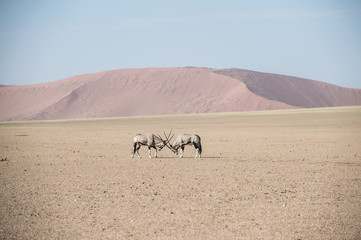 Namibia