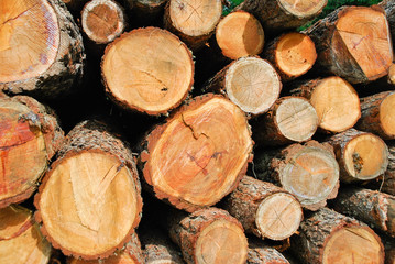 detail of a wood pile