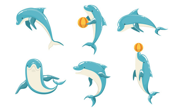 Funny Blue Dolphins Set, Cute Ocean Mammals Performing Tricks Vector Illustration