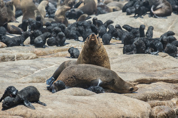 Namibia