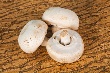Raw Champignon heap for cooking