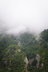 Clouds rising from mountain forest