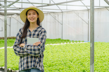 asian young friendly woman farmer smiling and holding mobile smart tablet with hydroponic fresh green vegetables produce in greenhouse garden nursery farm, smart farming, agriculture business concept