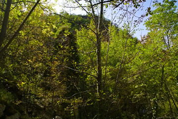 Vista dal sentiero 208 dal villaggio di Baciardi all'eremo di Morimondo