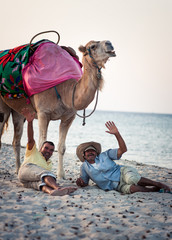 Camel owner on the coast of Tunisia with his camel, close-up