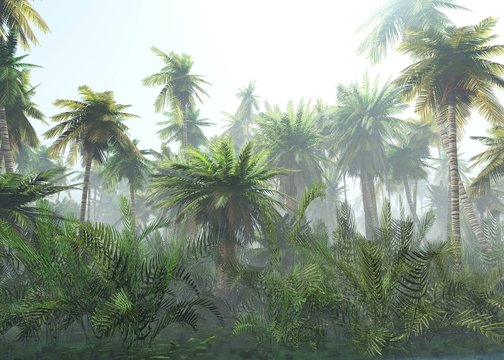 Free Jungle Images – Browse 6,622 Free Stock Photos, Vectors, and Video ...