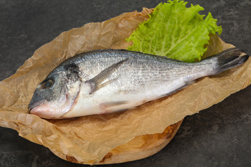 Raw Dorada fish  for cooking