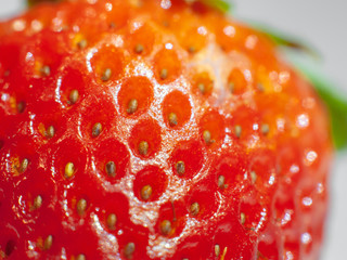 Close up fresh ripe strawberry fruits . Healthy strawberry background and Copy space