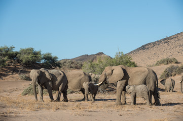 Namibia