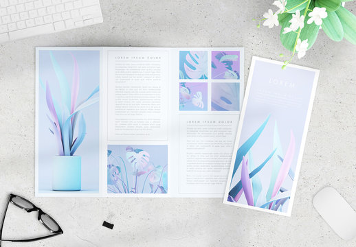 Minimalist Trifold Layout with Green and Pink Elements