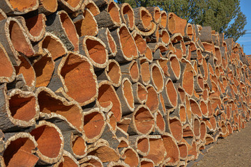 Cork, cork tree bark stacked for processing