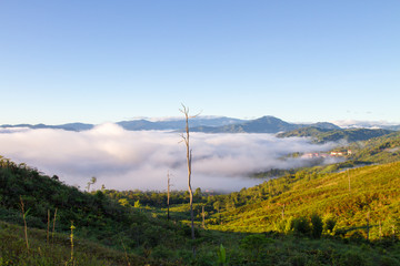 rolling cloud in the morning