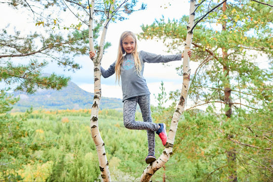 Child girl climbing birch tree. Active leisure of skillful female child outdoors.