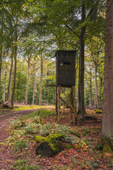 einzelner Hochsitz im Wald für Jäger, Holzkonstruktion verwittert
