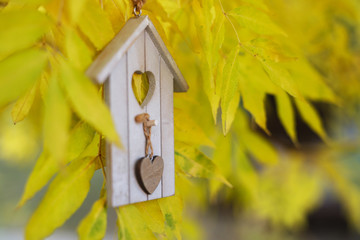 Wooden house hanging on a yellow autumn tree. Selective focus. Blurred autumn nature background.