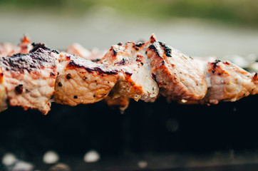 shish kebab on skewer