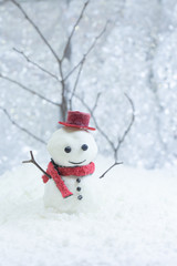 雪だるま【Snowman】