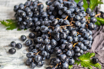 Large, black, wine grapes. It is covered with a white coating called yeast. With the help of them, wine is obtained. Drops of water on the berries, next to a gray fabric for decoration. 