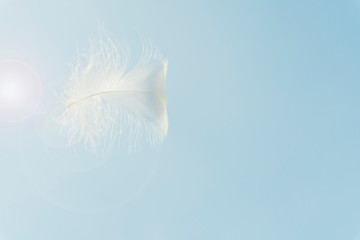 soft single white feather floating in the air