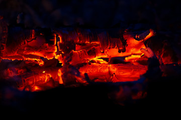 Fire with tongues of fire. Burning wood..