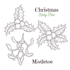 Christmas holly and mistletoe white Vector.