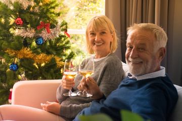 Senior couple drinking wine.Happy senior couple celebrate the festival of happiness.Old couples celebrating Christmas.