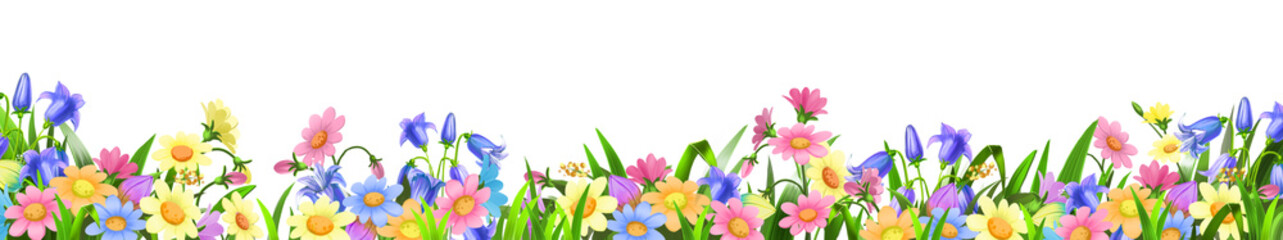 flowers isolated on white