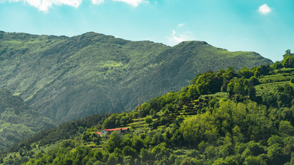 Fototapeta premium Country Landscape In Italy