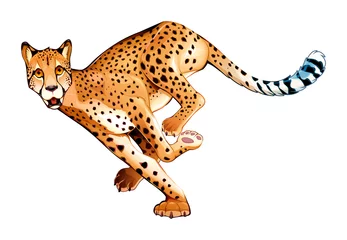 Gordijnen Lopende cheeta in horizontale houding © ddraw