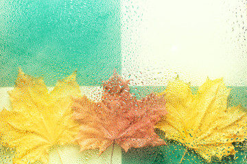 Background of autumn leaves behind a wet window.
