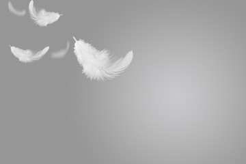 abstract, soft white feathers floating in the air