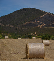 straw rolls, bullets or alpacas with a cylinder shape, mountains background copy-space