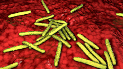 Mycobacterium leprae bacteria, the causative agent of leprosy, 3D illustration