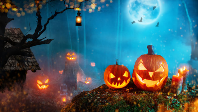 Spooky halloween pumpkins in dark mistery forest