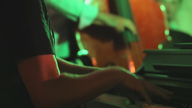 Musicians at the concert. Musician playing piano at the concert