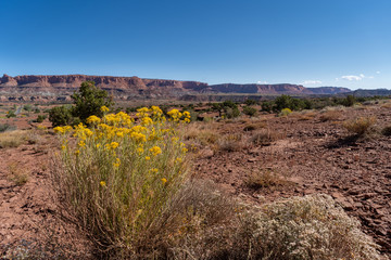 USA Capitol Reef National Park 
