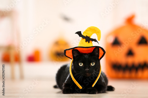 Black cat in halloween hat lying on the floor