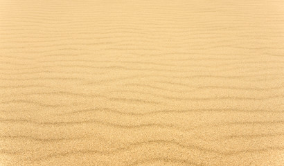 Yellow sand texture