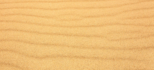 Obraz na płótnie Canvas Yellow sand texture
