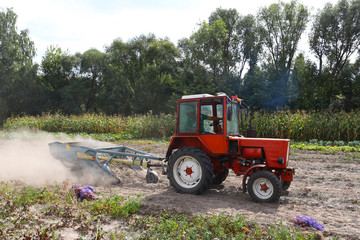 Naklejka premium Ternopil region Ukraine, September 2019 Farmer with tractor with special equipment - digging potatoes. The concept of a good harvest.